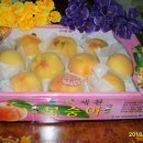 현숙이네 이미지