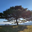 산너미목장 이미지