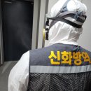 신화방역