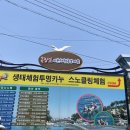 [삼척장호마을]투명카누생태체험 티스토리