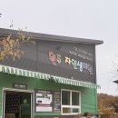 장수하늘소농장 | 원주 근교 나들이, 아기랑 가볼만한 동물체험 ‘원주자연생태원’