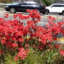 무주지포트 아산읍내점 이미지