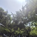 부평공원 | 부평공원 산책후기(야장 가는길, 피크닉 분위기)