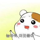 레이저아레나 이미지