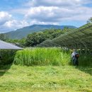 이영호 태양광 발전소 이미지