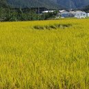 송함농장 이미지