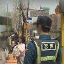 강남초교 이미지