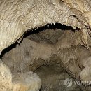 오션스타 휴양콘도미니엄 이미지