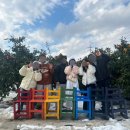 평대농장 이미지