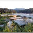 식현2리 이미지