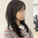 [마포] 어몽헤어 - 인생머리등극 합정미용실 내돈내산