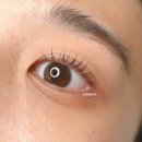 눈썹정원사 이미지