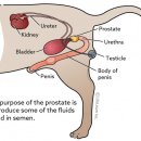 아이사랑 동물병원 이미지
