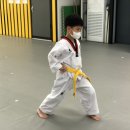 아리랑 멋 타리 태권도장 네이버블로그