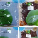 중한약품(주) 이미지