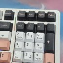 피치PC | [독거미] f99 저소음피치축 최고의 타건감 키보드 수집가의 솔직한 사용 후기