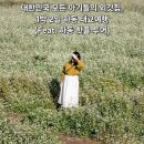 하동군보건소 | 하동에서의 가을, 태교 여행의 시작 소개!! (하동태교여행+핫플미션투어)