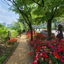 탄천좌로 이미지