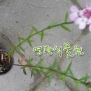 영광식물원 - 영광군 밀재로 333 | 영광식물원