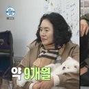 알콩달콩 이미지