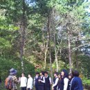 창촌중학교 이미지