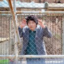 하울링 Howling 이미지