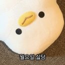 육연집