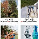 파인 | [정원 관리 필수템] 소나무재선충 예방과 영양 공급, 파인세이버 사용 후기