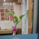 곰돌이연합소아청소년과 네이버블로그