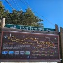 회기15 이미지