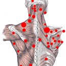 제이뷰짐 이미지