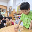 표면장력 실험을 해보았어요 / 산새소리반과 곤충메모리 게임 이미지