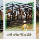 화성 아이와 가볼만한 곳, 매향리평화기념관 체험 후기