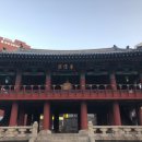 신덕10호 이미지