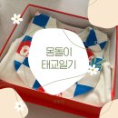 [~34w] 임신후기 , 청주베이비하우스 , 베이비페어 , 출산준비 , 만삭사진