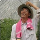 새낭골(위) Daum카페