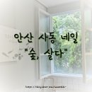 안산 사동네일 &#34;숲살다&#34; 네일아트 후기
