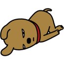 시현파파