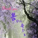 아리랑문화센터 이미지