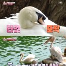 고니농장 이미지