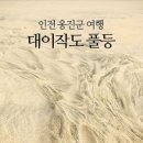 풀등유선