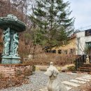 도그패밀리 이미지