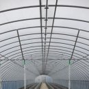 선운 농장 이미지