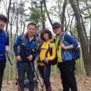노홍섭 Daum카페