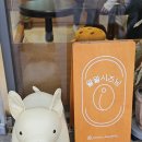 왈왈시즈닝 이미지