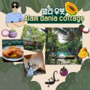 다니아(dania)