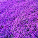 선자 농장 이미지