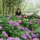 원기마을 입구 이미지