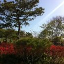 영종동주민센터 이미지