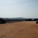 김경철농장 이미지